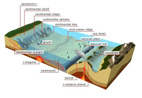 Ocean floor diagram Cc Foundations, Subduction Zone, Ocean Projects, Continental Shelf, Visual Dictionary, Beneath The Sea, 6th Grade Science, 5th Grade Science, Earth And Space Science