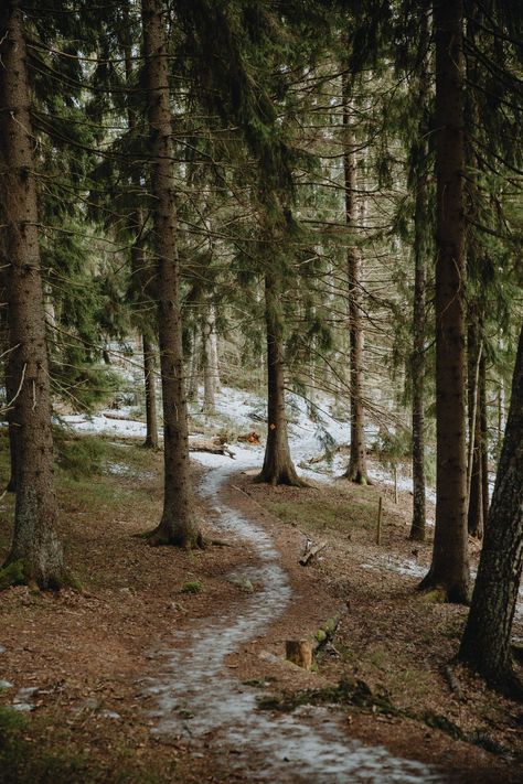 Sipoonkorpi Winter Hiking: Byabäcken Nature Trail - In the Woods, Dear Walks In The Woods, Living In The Woods Aesthetic, Winter Hike Aesthetic, Winter Woods Aesthetic, Wood Working Aesthetic, Nature Walk Aesthetic, February Nature, Trails In The Woods, Walk In Woods