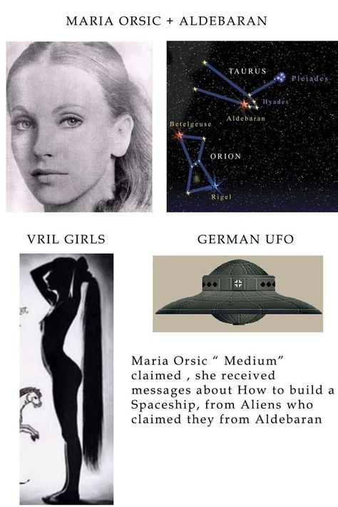 Maria Orsic, Thule Society, Types Of Aliens, Paranormal Aesthetic, Universe Quotes Spirituality, Alien Theories, Ufo Art, Columbine Flower, Ancient History Facts