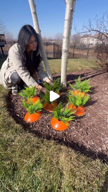 Amanda Albrecht Illinois Realtor + Content Creator on Instagram: "The cutest Carrot 👩‍🌾 patch I ever did see🥕 All you need is orange discs (I stole these from my kids agility kit 😉) they have them at the dollar store too and these stick in fern tops! Thats all you need. Takes only a few minutes to create and in the cutest addition to your yard this Easter! Did you know Easter is in March this year? Saw this on @thedowntownaly and instantly knew I needed my own carrot patch! . . . #carrotpatch #home #outdoor #outdoordecor #diy #easterdecor #home #jolietillinois #sellingthesuburbs #seasonaldecor #howyouhome #wowusweekdays #spring #springhassprung #march #carrottop #springrefresh" Realtor Content, Joliet Illinois, Carrot Patch, Thats All, Spring Refresh, Carrot Top, Spring Has Sprung, Home Outdoor, Content Creator