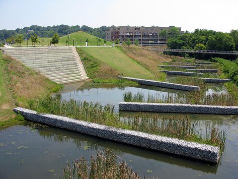 Constructed wetlands in part of Renaissance Park. Landscape Park, Water Architecture, Wetland Park, Sustainable Landscaping, Landscape And Urbanism, Chattanooga Tennessee, Landscape Architecture Design, Urban Park, Dry Creek