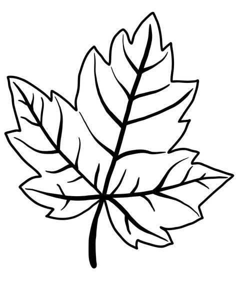 Fall Leaves Template Free Printable, Fall Leaves Template, Simple Leaf Drawing, Diy Beauty Storage, Leaf Drawing Easy, Leaves Template Free Printable, Outline Nails, Leaf Template Printable, Leaves Template