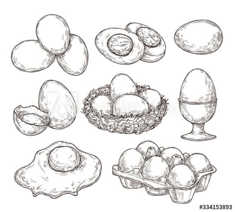 Stock Image: Eggs sketch. Vintage natural egg, broken shell. Hand drawn farming food, animal products. Drawing ingredients, rustic vector illustration. Shell chicken egg, natural sketch yolk fried Chicken Sketch, Chicken Hut, Vintage Food Posters, Chicken Tattoo, Egg Pictures, Chicken Drawing, Eggs In A Basket, Egg Laying Chickens, Basket Drawing