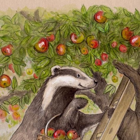 Apple Picking Drawing, Apple Picking Illustration, Country Illustration, Maud Lewis, Brambly Hedge, Red Apples, Have A Lovely Day, British Countryside, Apple Orchard