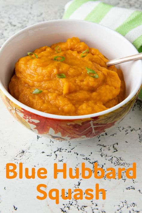 Blue Hubbard Squash Recipe - Binky's Culinary Carnival Blue Hubbard Squash Recipes, Hubbard Squash Recipes, Blue Hubbard Squash, Hubbard Squash, Savory Recipe, Low Acid Recipes, Creamy Pasta Sauce, Squash Varieties, Acorn Squash Recipes