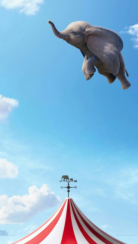 Dumbo 2019, Flying Elephant, Images Disney, Disney Phone Wallpaper, Disney Live Action, Walt Disney Pictures, Movie Wallpapers, An Elephant, Animal Wallpaper