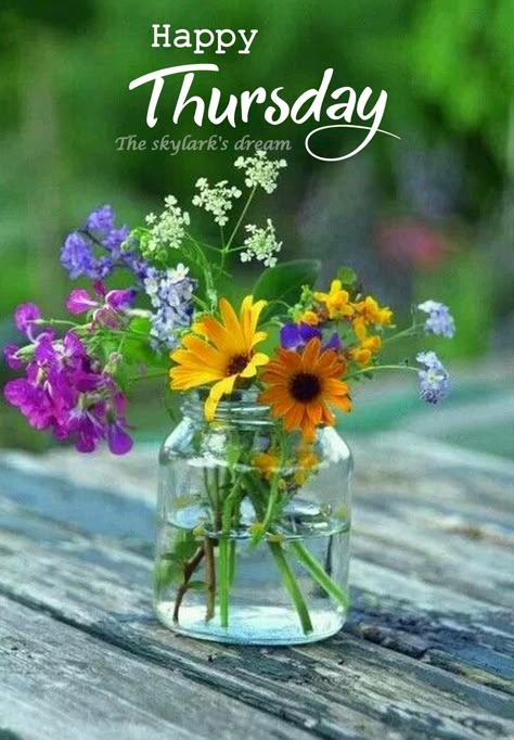 Happy Thursday Morning, Happy Thursday Images, Thursday Images, Thursday Greetings, Good Morning Happy Thursday, Happy Thursday Quotes, Good Morning Thursday, Thursday Quotes, Thankful Thursday