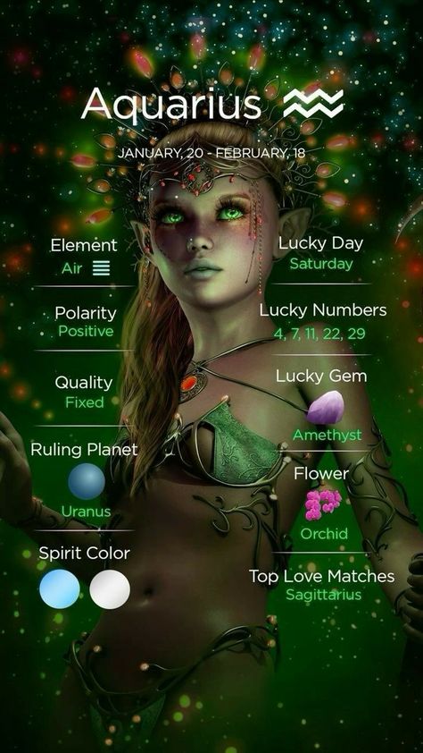 Aquarius Element, Astrology App, Aquarius Aesthetic, Know Your Future, Aquarius Art, Flower Orchid, Sagittarius Moon, Aquarius Tattoo, Aquarius Life