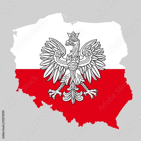 Poland Map, Polish Flag, Honor Guard, Red Polish, Birthday Crafts, Arte Popular, Adobe Stock, Poland, Stock Vector