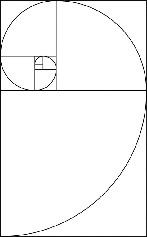 Illustration showing succession of golden rectangles that are used to construct the golden spiral. Two quantities are considered to be in the golden ratio if (a+ b)/a = a/b which is represented by the Greek letter phi. Each rectangle shown is subdivided into smaller golden rectangles. The golden spiral is a special type of logarithmic spiral. Each part is similar to smaller and larger parts. Fibonacci Sequence Tattoo, Golden Ratio Examples, Fibonacci Sequence Art, Phi Golden Ratio, Fibonacci Design, Golden Spiral Tattoo, Fibonacci Spiral Art, Golden Ratio Tattoo, Golden Ratio Art