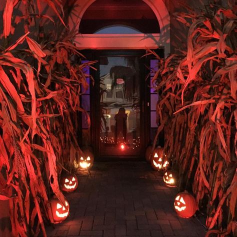 Hunted House Ideas Scary, Halloween Tunnel Ideas, Spooky Lighting, Hunted House, Halloween Garage, Halloween Maze, Scary Halloween Decorations Outdoor, Dekorasi Halloween, Casa Halloween