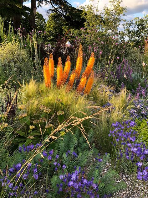 Hampton Court Gardens, Heather Gardens, Beth Chatto, Coastal Traditional, Prairie Garden, Meadow Garden, Potager Garden, Dry Garden, Sloped Garden