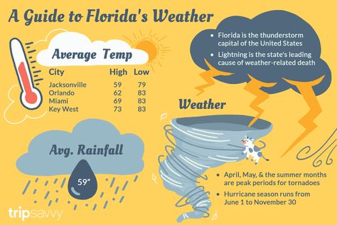 Florida's Climate and Weather: What to Expect in the Sunshine State Climate And Weather, High School Chemistry, Florida Weather, Tropical Living, Weather And Climate, Summer Weather, Jacksonville Florida, Sunshine State, Summer Months