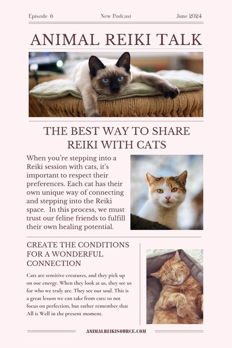 Cat appreciation post. 😻

Our feline friends have so much wisdom to share. During a cat Reiki session, you shouldn't be surprised if you learn something new about yourself!

Of course, the sharing Reiki has so much to offer felines as well. If you want to make the cat's Reiki experience the best it can be, tune into our Animal Reiki Talk episode about The Best Way to Share Reiki with Cats. Cat Purr Healing, Reiki Space, Reiki Session, Healing Symbols, Animal Reiki, Cat Purr, Learn Something New, Energy Work, Appreciation Post