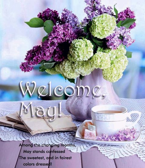 Welcome May Neuer Monat, Welcome May, May Quotes, Seasons Months, 1. Mai, Monthly Quotes, Hello April, Hello July, May Days