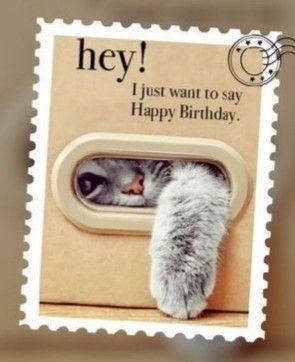 Cat Birthday Wishes, Birthday Sms, Virtual Hugs, Party Photo Frame, Funny Happy Birthday Images, Birthday Memes, Birthday Quotes For Me, Instagram Captions Clever, Happy Birthday Wishes Cards