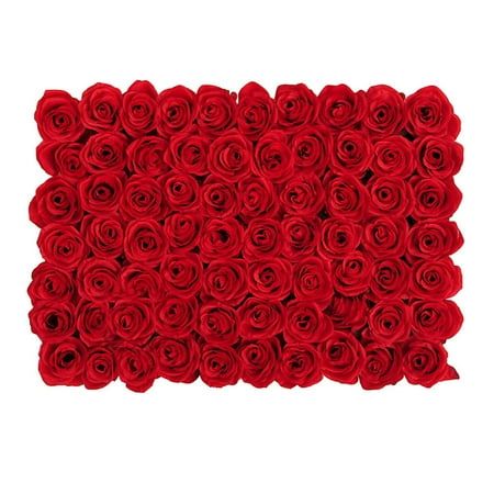 GUOOL Artificial Panel Floral Crafts Background for Wedding Fence Home Red.Realistic looking rose flower panels, for wedding backdrop, quinceanera decorations, nursery decor, or Valentine's Day display. Elegant and stunning for wedding party centerpieces backdrop flowers decoration.This charming rose panel is great for wedding venue, party, photographic background, stage scenery, candy wall and shop window, etc.This gorgeous floral panel is also suitable for indoor bedroom, living room, or outdo Crafts Background, Background Stage, Background For Wedding, Venue Party, Backdrop Flowers, Photographic Background, Candy Wall, Wedding Party Centerpieces, Floral Crafts