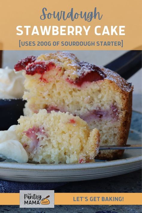 A delightfully simple and sweet strawberry cake made with sourdough starter, fresh strawberries and simple pantry ingredients. It makes a delicious dessert served warm from the oven or as an afternoon treat dusted with icing sugar. Sourdough Discard Strawberry Cake, Sourdough Birthday Cake Recipe, Sourdough Strawberry Shortcake, Sourdough Strawberry Cake, Sourdough Pound Cake, Active Sourdough Starter Recipes, Strawberry Cake With Fresh Strawberries, Sourdough Cakes, Sourdough Coffee Cake