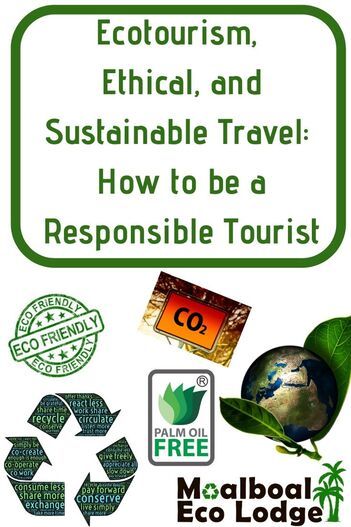 Ecotourism, Ethical, and Sustainable Travel: How to be a Responsible Tourist Ecotourism Infographic, Sustainable Tourism Poster, Tourism And Hospitality Industry, Eco Tourism, Ethical Travel, Tourism Development, Responsible Tourism, Eco Lodge, Green Travel