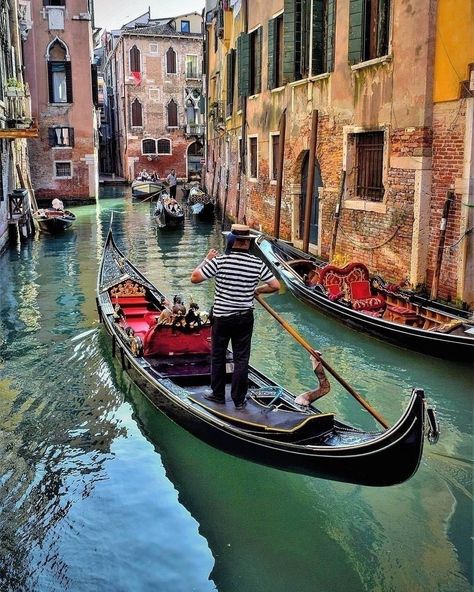 Gondola Boat, Gondola Venice, Venice Italy Gondola, Birds Photography Nature, Gondola Ride, Italian Beauty, City Painting, Boat Art, Countries To Visit