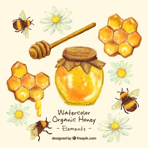 Hand painted honey jar with honeycomb  Free Vector Honeycombs Drawings, Honey Illustration, Honeybee Art, Honey Art, Bee Artwork, مشروعات العلوم, Aesthetic Health, Tattoo Health, Bee Drawing