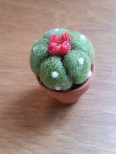 Felted Cactus, Diy Laine, Felt Cactus, Flower Felt, Felt Succulents, Diy Wool, Needle Felting Diy, Wool Felting, Needle Felting Tutorials