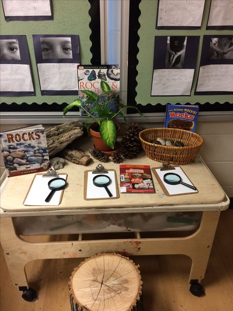 Rock display Rocks Display, Rock Display, Types Of Rocks, Teaching Inspiration, Year 3, Classroom Displays, Inspirational Pictures, Geology, Table Settings