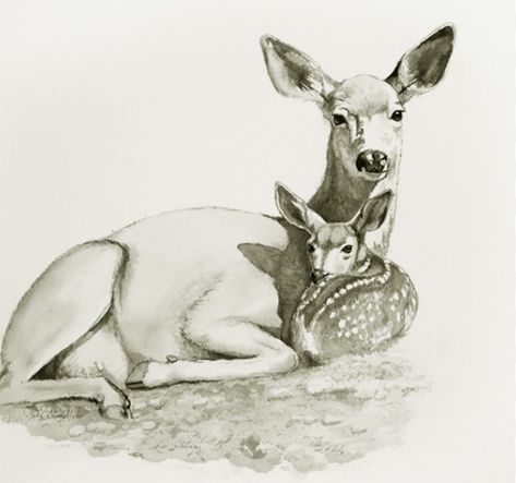 Doe And Fawn Tattoo, Doe Sketch, Fawn Sketch, Amelia Tattoo, Fawn Drawing, Motherhood Drawing, Baby Deer Tattoo, Deer Drawings, Deer Outline