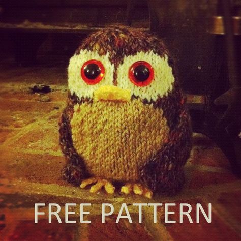 free knitting pattern owl Owl Knitting, Owl Knitting Pattern, Diy Tricot, Knitted Owl, Knitted Toys Free Patterns, Animal Knitting Patterns, Owl Pattern, Knitting Patterns Toys, Owl Crafts