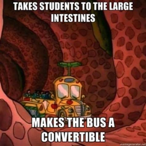 Ms Frizzle, Magic School Bus, Work Motivational Quotes, Internet Memes, 90s Kids, Internet Funny, Cartoon Shows, Funny People