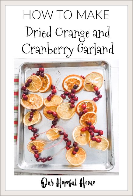 Orange And Cranberry Garland, Cranberries Decor, Cranberry Garland, Maine Christmas, Orange And Cranberry, Cranberry Cinnamon, Orange Ornaments, Orange Wreath, Orange Christmas