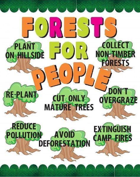 Make a Forest for People Poster | Forest Conservation Poster Ideas Forest Conservation Poster Drawing, Save Forest Poster Drawing, Forest Conservation Poster, Save Forest Poster, Conservation Poster Ideas, Conservation Poster, Save Animals Poster, Wildlife Week, Nature Quotes Beautiful