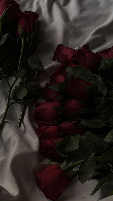 Red rose make mode perfect Maroon Aesthetic, Rose Foto, ポップアート ポスター, Dark Red Roses, Istoria Artei, Aesthetic Roses, Rosé Aesthetic, Nothing But Flowers, Dark Feminine Aesthetic