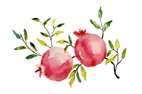 Pomegranate watercolor by Flamingo on @creativemarket Pomegranate Drawing, Pomegranate Watercolor, Watercolor Pomegranate, Pomegranate Tattoo, Pomegranate Art, Kalender Design, Pomegranate Design, Watercolor Fruit, Fruit Painting