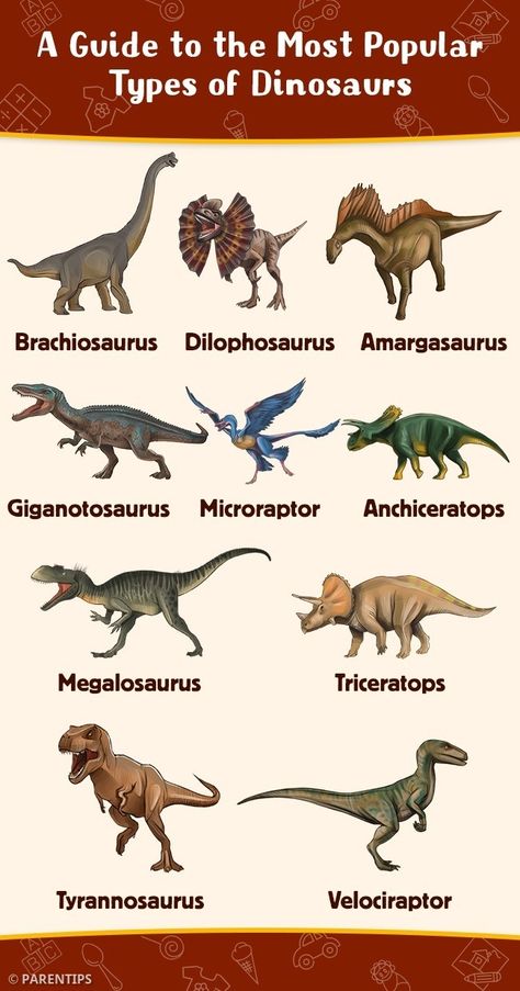 Types Of Dinosaurs Chart, Dinosaur Anatomy, Dinosaur Template, Types Of Dinosaurs, Dinosaur Types, Learning French For Kids, Dinosaur Facts, Dinosaur Train, Dinosaur Posters