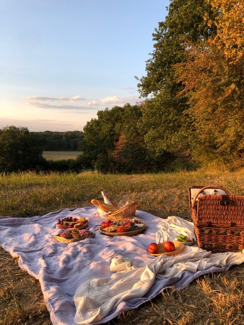 Classic Picnic Food, Tom Core, Old Fashioned Picnic, Picknick Aesthetic, Pinterest Picnic, Crochet Picnic, Mountain Picnic, Pizza Picnic, Picnic Date Food