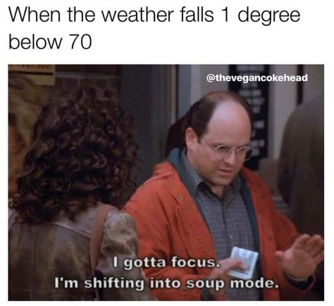 Soup Weather, Funny Weather, Seinfeld, Know Your Meme, Bones Funny, Popular Memes, Funny Cute, Puns, Really Funny