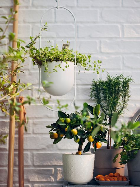 Inspiration gallery - IKEA Beautiful Outdoor Furniture, Garden Plant Pots, Pot Hanger, Outdoor Furniture Decor, Belek, Declutter Your Home, Hanging Planter, Modern Flower, Outdoor Planters