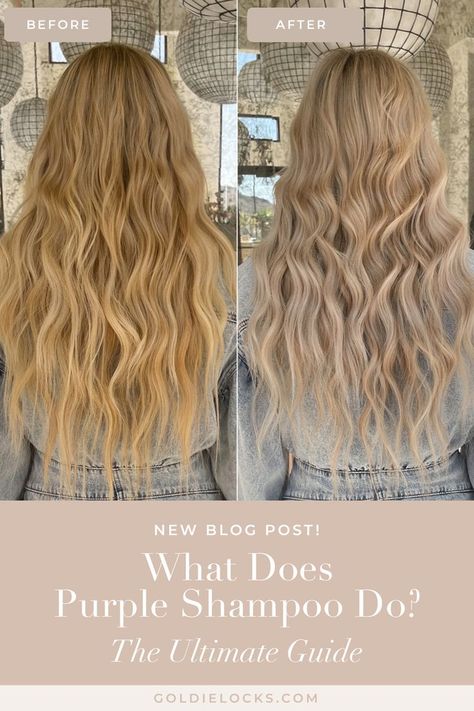 We've put together this ultimate guide to help you properly maintain your beautiful color. From understanding what it is and how it works, to how often you should use it - here's all you need to know about purple shampoo for blonde, lightened, or gray hair. Best Purple Shampoo Blondes, Purple Shampoo For Blondes, Best Purple Shampoo, Hair Concerns, How To Lighten Hair, Purple Shampoo, Gray Hair, Hair Care Routine, Hair Shampoo