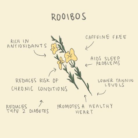 Why do we choose rooibos tea instead of black tea for our chai blend? 🧐 🍵 Rooibos tea is naturally caffeine free, meaning you can drink Frank n Al before bed, if you’re breastfeeding, wanting to reduce/eliminate caffeine from your diet 🍵 Rooibos has lower tannin levels! Tannins are considered nutritionally undesirable because they precipitate proteins, inhibit digestive enzymes and affect the utilization of vitamins and minerals.* 🍵 Your skin loves rooibos! Rooibos is rich in alpha hyd... Roobois Tea Benefits, Rooibos Tea Benefits, Witch Things, Rooibos Tea, Can Drink, Tea Benefits, Digestive Enzymes, Caffeine Free, Before Bed