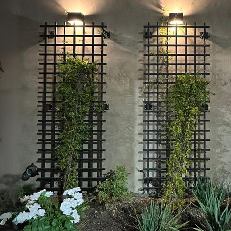 Whether you're looking to create an eye-catching focal point or just need something to help your plants grow, Let our modern trellis guide your outdoor life and allow your plants to grow, bloom and blossom adding natural green beauty to your space. Hand forged to your specifications here in the in the USA. Pick from multiple stunning finishes all powder coated to ensure it can withstand hard outdoor elements and last years to come. Easy installation that takes no more than 30 minutes. Easy to mo Balcony Wall Plants, Ivy Walls Outdoor, Wall Plants Outdoor, Grid Trellis, Living Walls Outdoor, Room Divider Plants, Housing Styles, Reno House, Trellis Wall