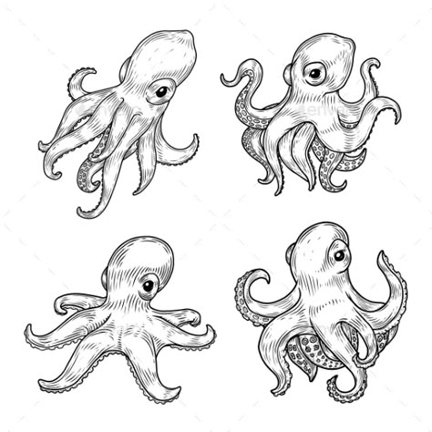 Cuttlefish Drawing, Biology Cartoon, Octopus Aquarium, Octopus Outline, Sea Sketch, Underwater Vector, Octopus Sketch, Octopus Logo, Octopus Drawing