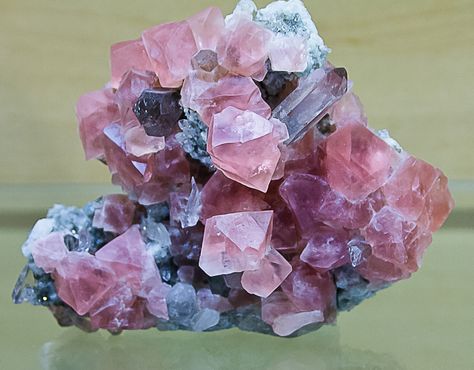 Pink Fluorite from Switzerland at Tucson Gem and Mineral Show '13 Pink Fluorite, Tucson Gem Show, Gem Show, Gems And Minerals, Crystals Minerals, Mineral Specimen, Rocks And Minerals, Tucson, Rocks And Crystals