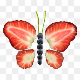 Image result for strawberry butterfly Butterfly Fruit, Strawberry Butterfly, Apple Png, Fruit Png, Apple Vector, Fruit Clipart, Butterfly Clipart, Alcohol Ink Crafts, Ink Crafts