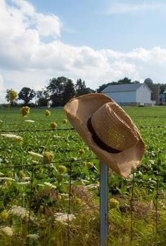 Farmers Hat & Barn Farmers Hat, Cottage In The Forest, Farmer Outfit, Hat Aesthetic, Summer Scenes, Flower Farmer, Summer Romance, Down On The Farm, World Pictures