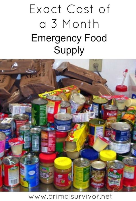 Best Emergency Food, Prepper Supplies, Survival Food Storage, Prepper Food, Emergency Preparedness Food, Shtf Preparedness, Emergency Food Storage, Emergency Food Supply, Long Term Food Storage