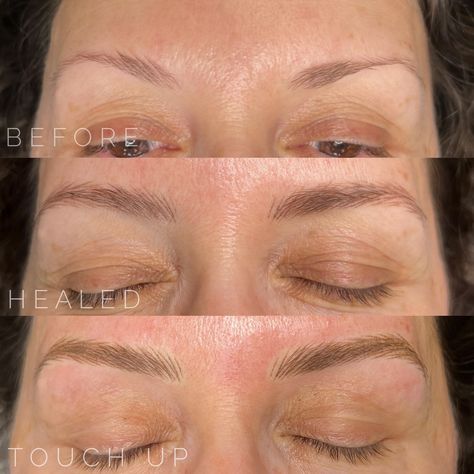 Before, healed, after touch up for these nano brows! Nano brows are meant to heal soft and natural to create the more realistic appearing eyebrows. @bowleresthetics healing balm and candy cleanse @hanafy.us pigments Want to learn how to create brows like this? I offer beginner and advanced training at my studio @etherealstudio.sd link in bio for more information! #nanobrows #nanobrowpmu #nanobrowtraining #sandiegonanobrows #sandiegopermanentmakeup #sandiegoeyebrows Microbladed Eyebrows, Nano Brows, Healing Balm, Permanent Makeup, Healing Process, Touch Up, Eyebrows, To Learn, Link In Bio