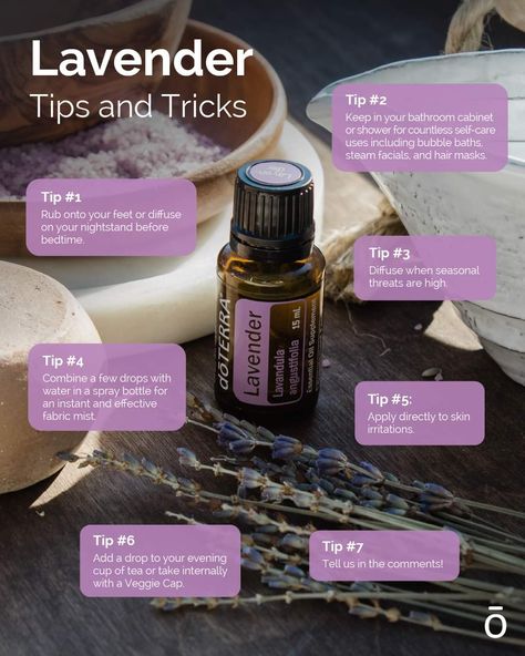 Personal Concierge, Doterra Lavender, Essential Oil Education, Doterra Essential Oils Recipes, What Are Essential Oils, Essential Oils Guide, Essential Oil Blends Recipes, Earthy Scent, Oil Diffuser Blends