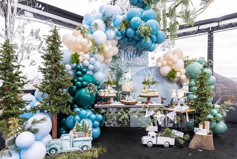 Winter Onederland Birthday Party Boy, Balon Garland, Winter Onederland Birthday Cake, Onederland Birthday Cake, Winter Baby Birthday Party, Winter Baby Birthday, Snowflake Backdrop, Balloon Garland Backdrop, Winter Birthday Themes