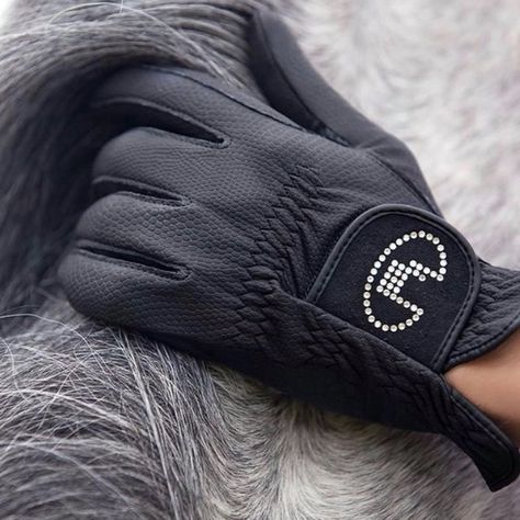 Horse Riding Gloves, Equine Care, Classic Equine, Breath Work, Polo Wraps, Horse And Human, Natural Horsemanship, Dressage Horses, Equestrian Sports